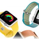 Продажи Apple Watch значительно упали