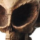 В Дании обнаружен череп инопланетянина