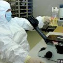 Ученые РАН создали программу для скорого поиска тайн иммунитета