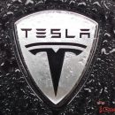 Tesla планирует выпуск беспилотных автобусов и грузовиков