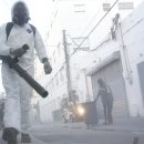 265 человек заразились вирусом Зика в Мексике за неделю