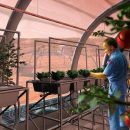 Голландским ученым удалось собрать урожай 10 культур с «марсианского грунта»