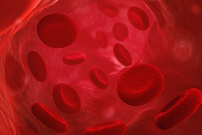 Учёные научились омолаживать кровь путём перепрограммирования стволовых клеток