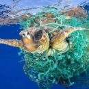 ООН объявляет войну пластиковому мусору в океане