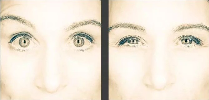 Исследование: глаза это действительно зеркало души