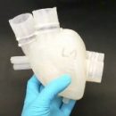 Напечатанное на 3D принтере силиконовое сердце бьётся как настоящее