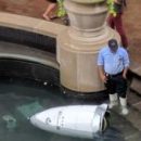 Робот-охранник «совершил самоубийство» в американском торговом центре