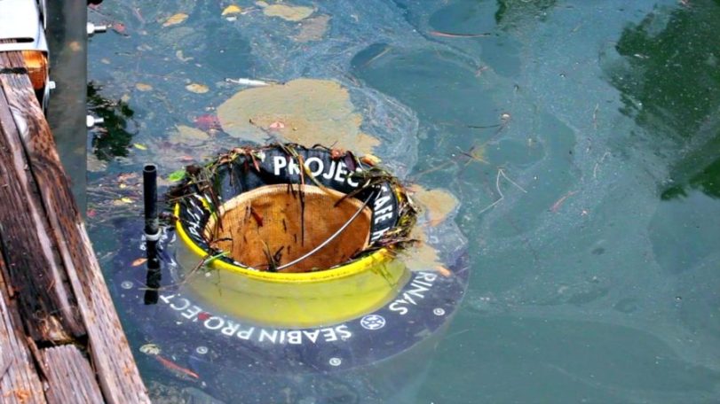В Великобритании установлен первый морской мусоросборник для очистки моря от пластика