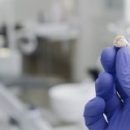 Устройство для «раскалывания» зубов поможет извлекать стволовые клетки