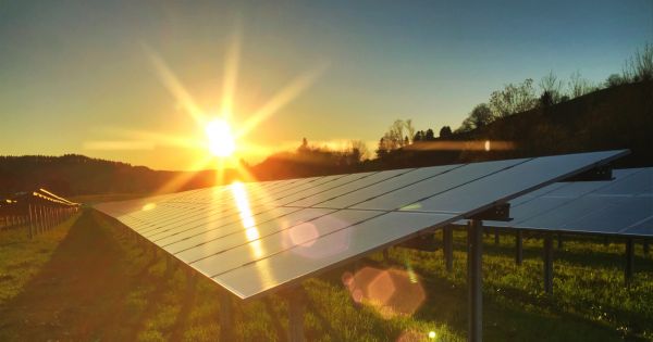 Солнечная энергетика поднимает урожайность на 60 процентов