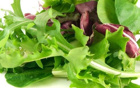 Употребление листового салата омолаживает мозг на 11 лет
