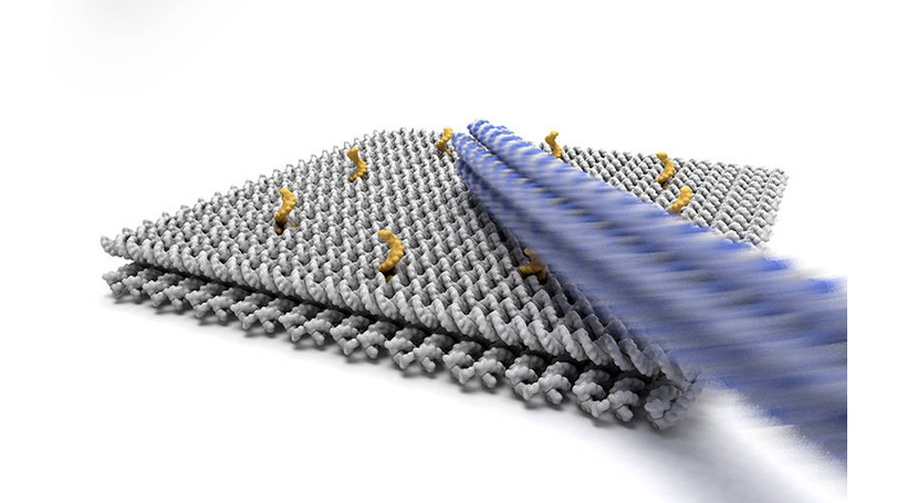 Разработка быстрого ДНК-наноробота может привести к созданию молекулярных фабрик