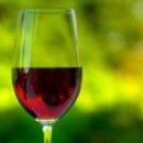 Здоровье — в вине: исследование показало, что небольшие дозы алкоголя полезны для мозга