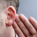 Новое открытие учёных поможет избавлять от потери слуха