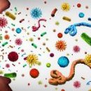 Можно ли с помощью населяющих организм бактерий остановить инфекцию?