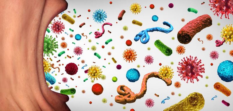 Можно ли с помощью населяющих организм бактерий остановить инфекцию?