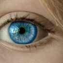 Ученым удалось визуализировать связи между глазом и мозгом