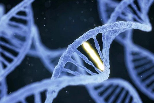 Исследователи DARPA планируют повысить сопротивляемость болезням с помощью «настройки» генов