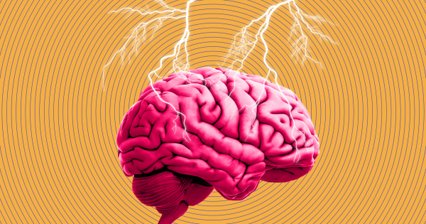 Электрошоковое воздействие на мозг человека снижает его агрессивность