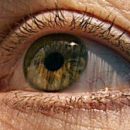 Глаукома может быть излечимым аутоиммунным заболеванием