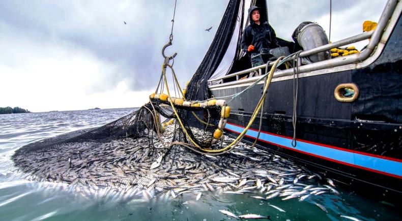 Рыболовство в открытом океане играет ограниченную роль в обеспечении питанием населения планеты