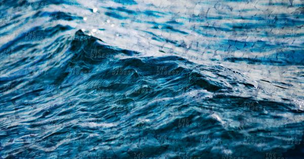 Человечество использует очень много воды, и это способствует засолению океанов