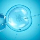 Матери, которые для зачатия используют донорские яйцеклетки, по-другому относятся к своему потомству