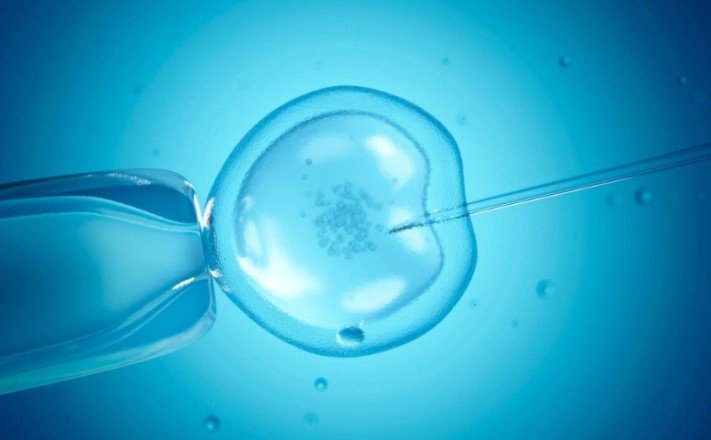 Матери, которые для зачатия используют донорские яйцеклетки, по-другому относятся к своему потомству