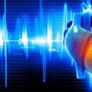 Стволовые клетки против болезней сердца