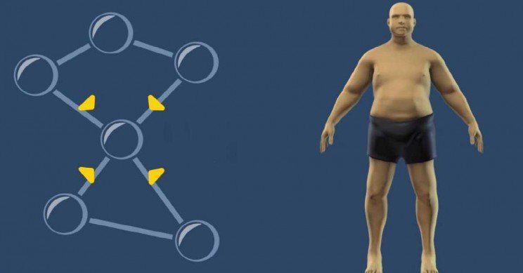 Ученые определили, какой ген отвечает за появление лишнего веса