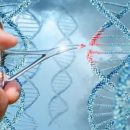 В Китае активно разрабатывают технологии точечной замены генов для лечения рака