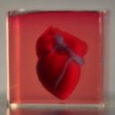 Ученые впервые напечатали на 3D принтере трехмерное сердце с сосудами, используя клетки пациента