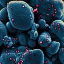 Два исследования показали, что влажность предотвращает распространение коронавируса