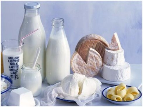 Введение молочных продуктов в детское питание Введение молочных продуктов в детское питание