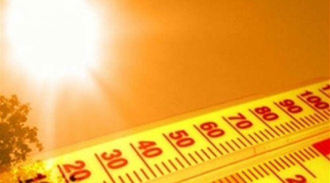 Ученые: Жара увеличивает смертность населения