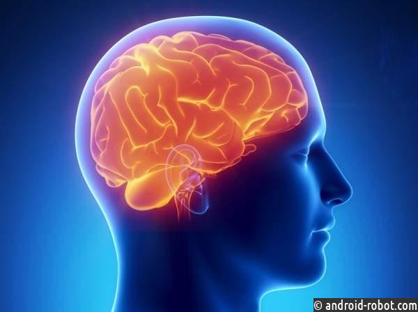 Ученые узнали, в чем скрывается причина ожирения человека