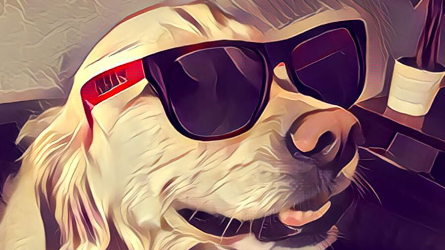 Приложение Prisma обновило дизайн и функционал