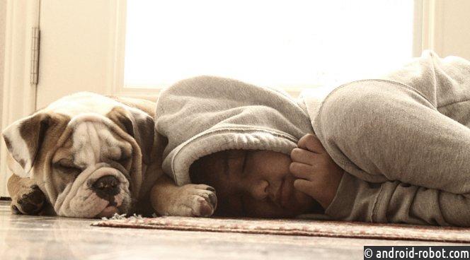 Ученые наконец-то пояснили, зачем люди спят Ученые наконец-то пояснили, зачем люди спят