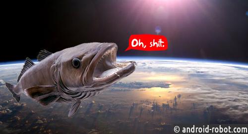 Fishing Space — приложение для общения рыбаков