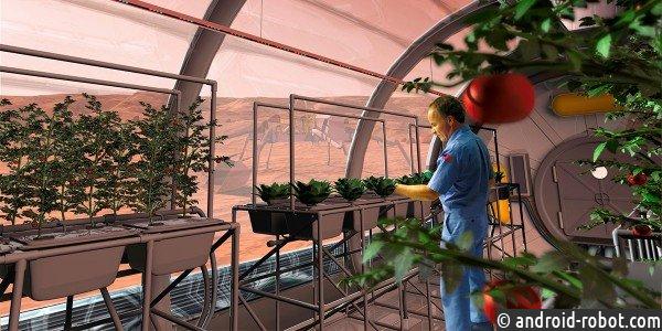Голландским ученым удалось собрать урожай 10 культур с «марсианского грунта»