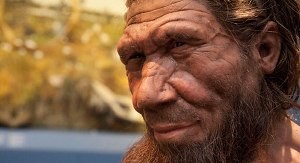 Неандертальцы обладали удивительно богатым арсеналом лекарственных средств