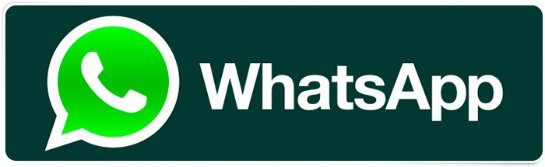 Самый быстрый бесплатный менеджер WhatsApp: скачать на любые гаджеты Самый быстрый бесплатный менеджер WhatsApp: скачать на любые гаджеты