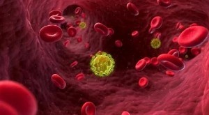 Современные препараты дают ВИЧ-инфицированным людям в Европе и США дополнительные десять лет жизни