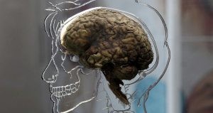 Оказывается, забывать информацию так же важно, как и запоминать Оказывается, забывать информацию так же важно, как и запоминать