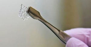 Мыши с 3D-печатными яичниками успешно произвели на свет здоровое потомство Мыши с 3D-печатными яичниками успешно произвели на свет здоровое потомство