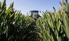 Monsanto для защиты сельскохозяйственных культур от болезней делает ставку на ИИ