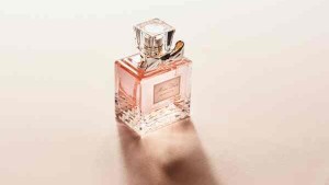 Для тестирования продукции L’Oreal использует искусственную человеческую кожу Для тестирования продукции L’Oreal использует искусственную человеческую кожу