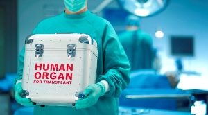 Наночастицы обманывают организм, заставляя его принимать чужеродный имплант за свой