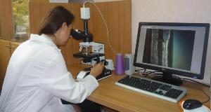 Россия выделяет гранты на НИОКР в области технического текстиля