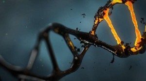 Учёные получили новую информацию о том, почему мы стареем Учёные получили новую информацию о том, почему мы стареем